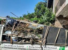 Shed Removal in Roma, TX