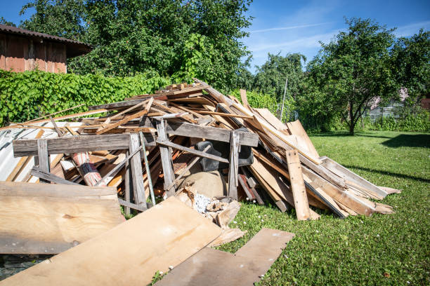 Best Dumpster Rental Services  in Roma, TX
